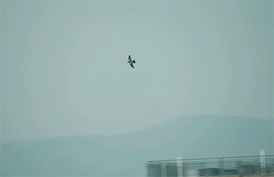 天顺娱乐登录：在闽南，我们用葬礼“庆祝”死亡